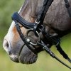 Ogłowie anatomiczne LUISA z naczółkiem z czarnymi kryształkami - Kieffer 